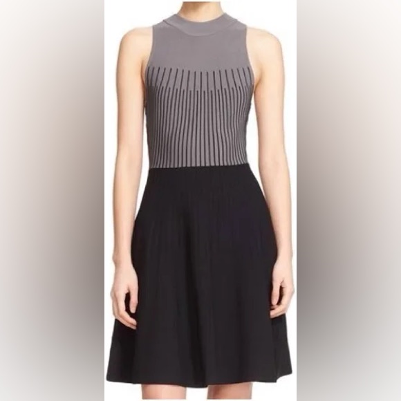 $425 Flash Salemilly Dress Size P